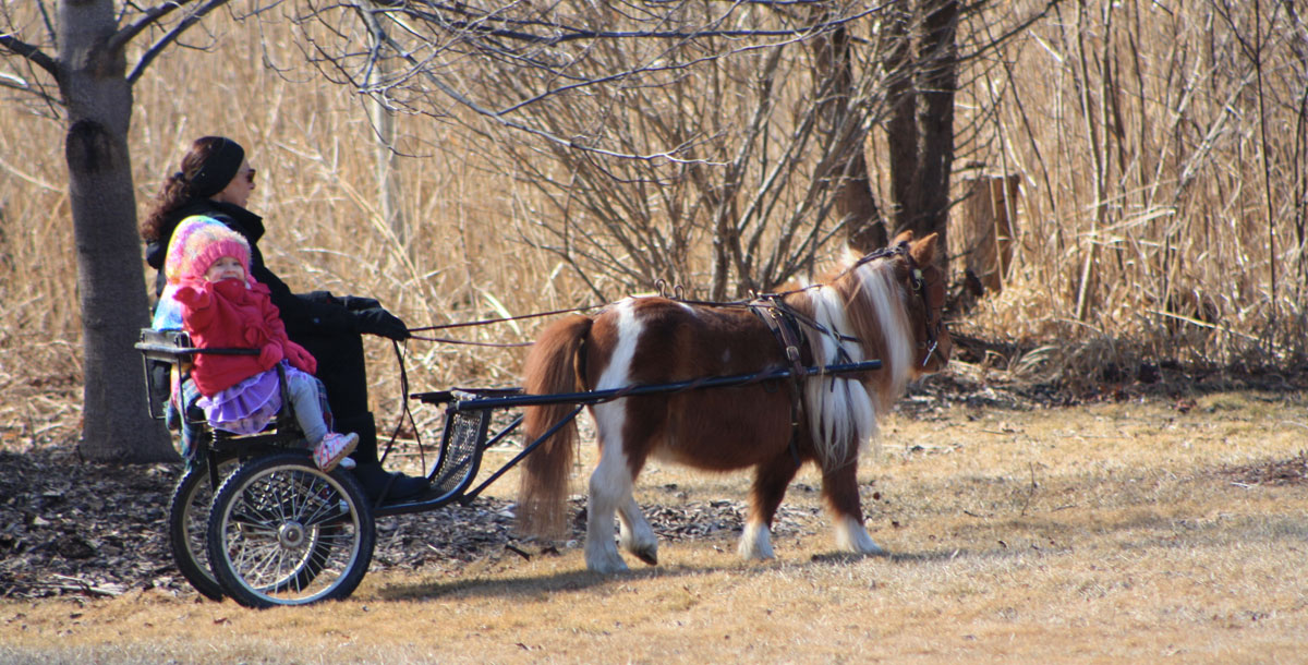 kid-in-cart